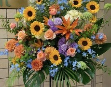 バレエ発表会お祝いスタンド花お届・葛飾区・足立区・綾瀬・亀有・青戸・立石＜東京都葛飾区亀有の花屋・前澤生花店のイメージ