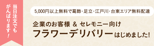 当日注文でもがんばります！葛飾・足立・江戸川エリア無料配達企業のお客様 & セレモニー向けフラワーデリバリーはじめました!